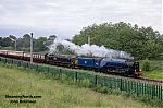 Filename=DSC10057.jpg
Filesize=1952KiB
Dimensions=2048x1365
Date added=Jul 05, 2025 DSC10057.jpg