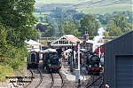 DSC_10137.jpg
