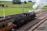 DSC_10142.jpg
