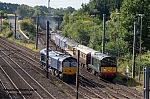 DSC_10177.jpg
