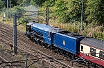 DSC_10179.jpg