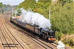 DSC_10198~9.jpg