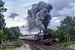 DSC_10217.jpg