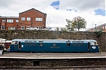 DSC_10266.jpg