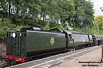 DSC_10267.jpg