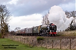 DSC_11016.jpg