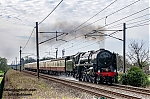 DSC_11043.jpg