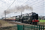 DSC_11045.jpg