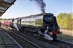 DSC_11131~0.jpg