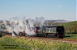 DSC_11136.jpg