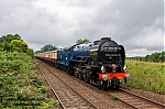 DSC_11315.jpg