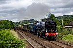 DSC_11330.jpg