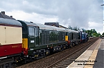 DSC_11335.jpg