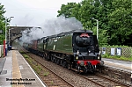 DSC_11346.jpg