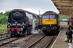 DSC_11357~1.jpg