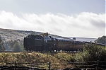 DSC_11509.jpg