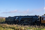 DSC_11513.jpg