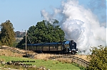 DSC_11515.jpg