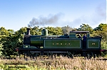 DSC_11535.jpg