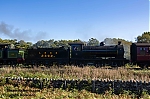 DSC_11536.jpg