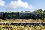 DSC_11550.jpg