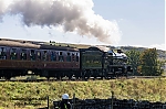 DSC_11552.jpg