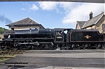 DSC_11553.jpg