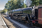 DSC_11567.jpg