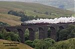 Filename=DSC_18153.jpg
Filesize=1882KiB
Dimensions=2048x1365
Date added=Jul 27, 2024 DSC_18153.jpg