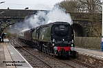 DSC_19663.jpg