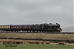 DSC_19676.jpg