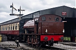 DSC_20018.jpg